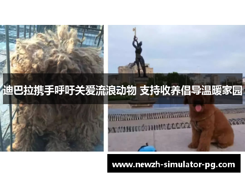 迪巴拉携手呼吁关爱流浪动物 支持收养倡导温暖家园