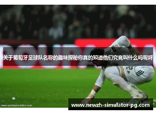 关于葡萄牙足球队名称的趣味探秘你真的知道他们究竟叫什么吗呢呀