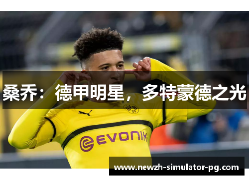 桑乔：德甲明星，多特蒙德之光